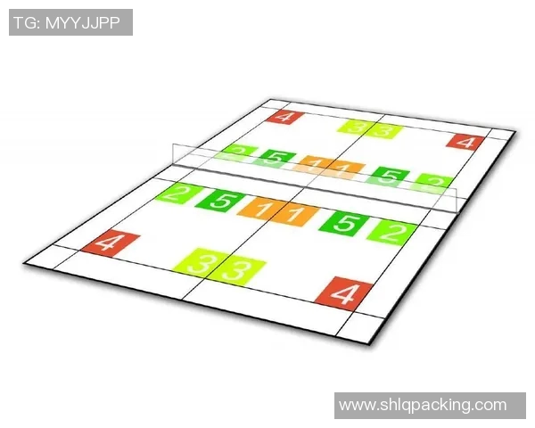 重庆羽毛球队的战术解析与转换体系探讨